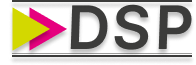 Société DIGITAL SERVICES PARTNER